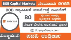 BOB Capital Markets Recruitment 2025